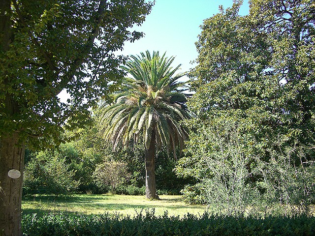 Arboretum Trsteno